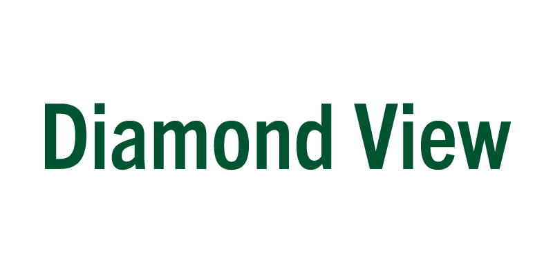 Diamond View