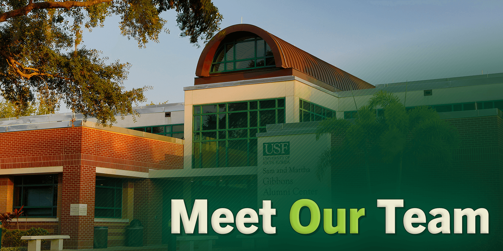 Meet our team